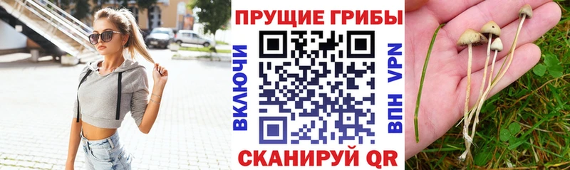 Псилоцибиновые грибы Magic Shrooms omg маркетплейс Лангепас